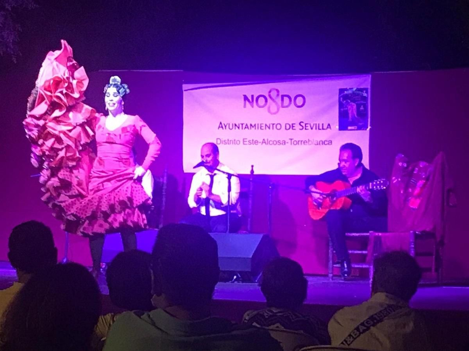 Espectáculo flamenco en el Distrito Este-Alcosa-Torreblanca, dentro del calendario cultural del verano.