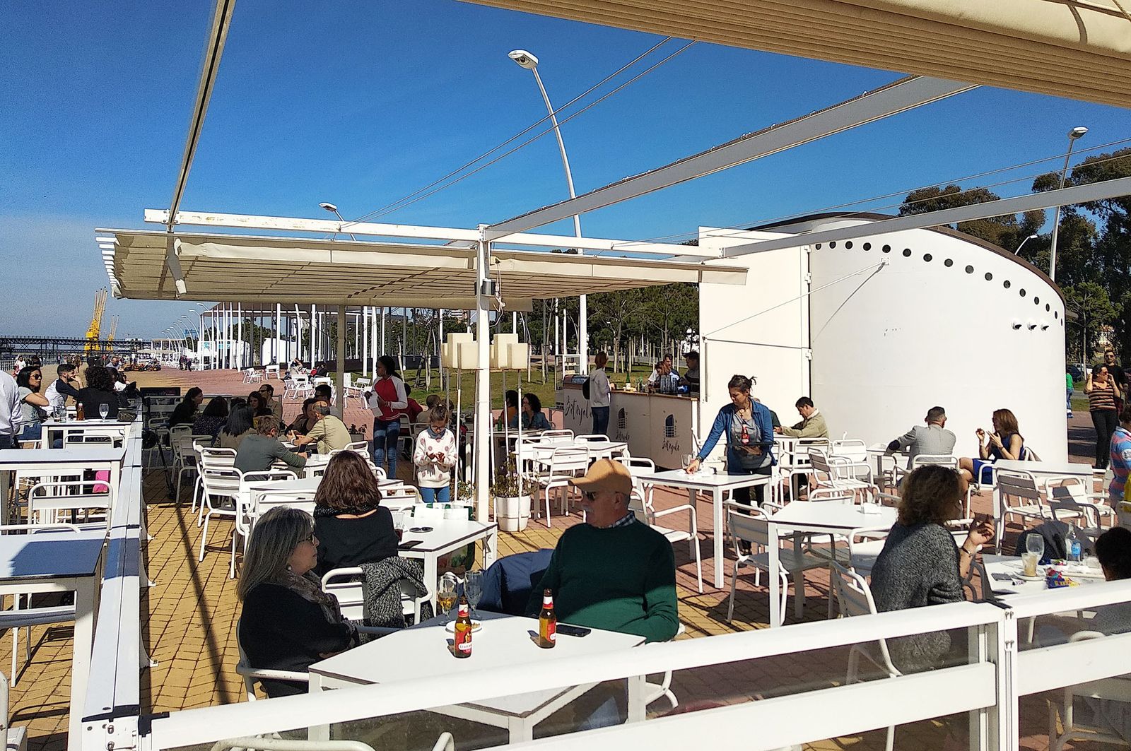 Ambiente primaveral en el día de Andalucía, en imágenes