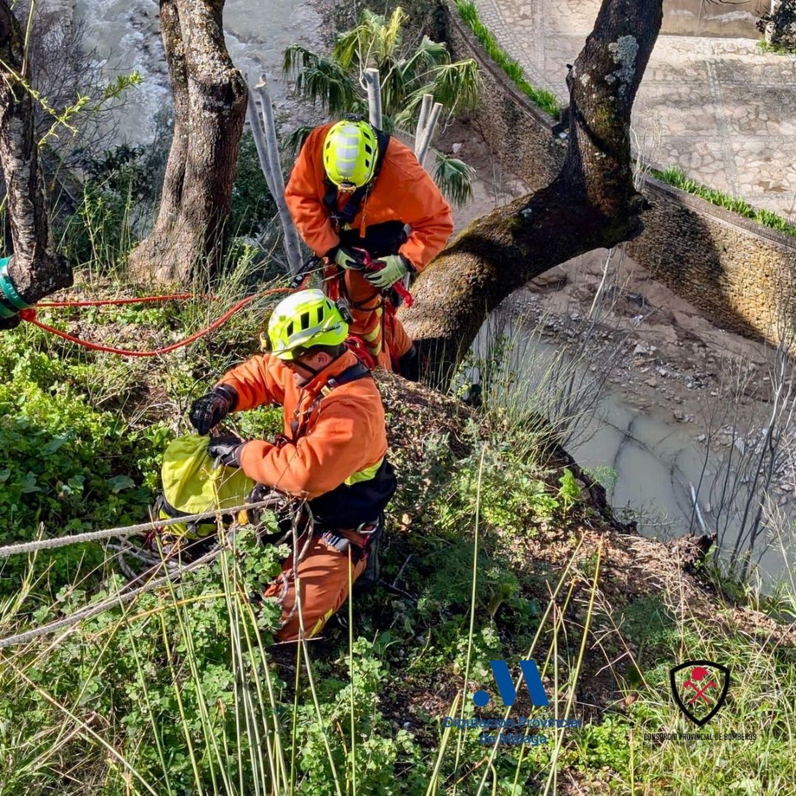 Bomberos de Ronda retiran árboles y ramas con riesgo de caída