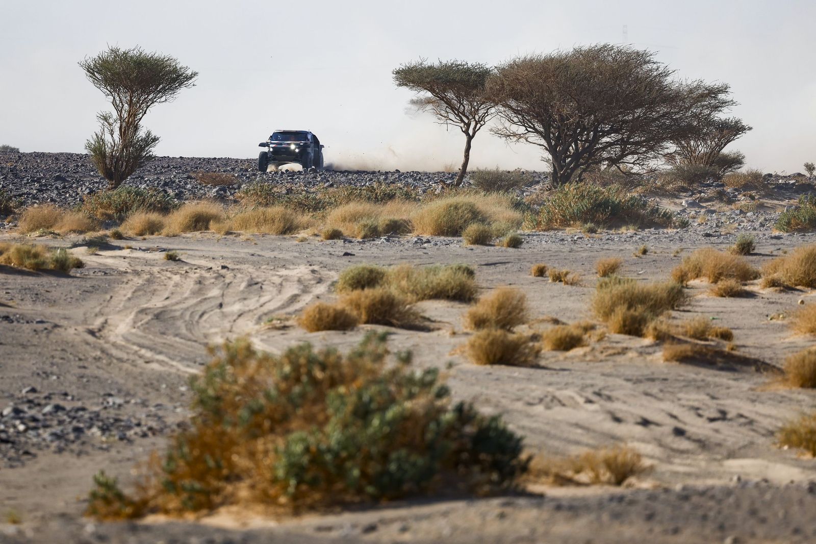 Las mejores fotos del Rally Dakar | Novena etapa