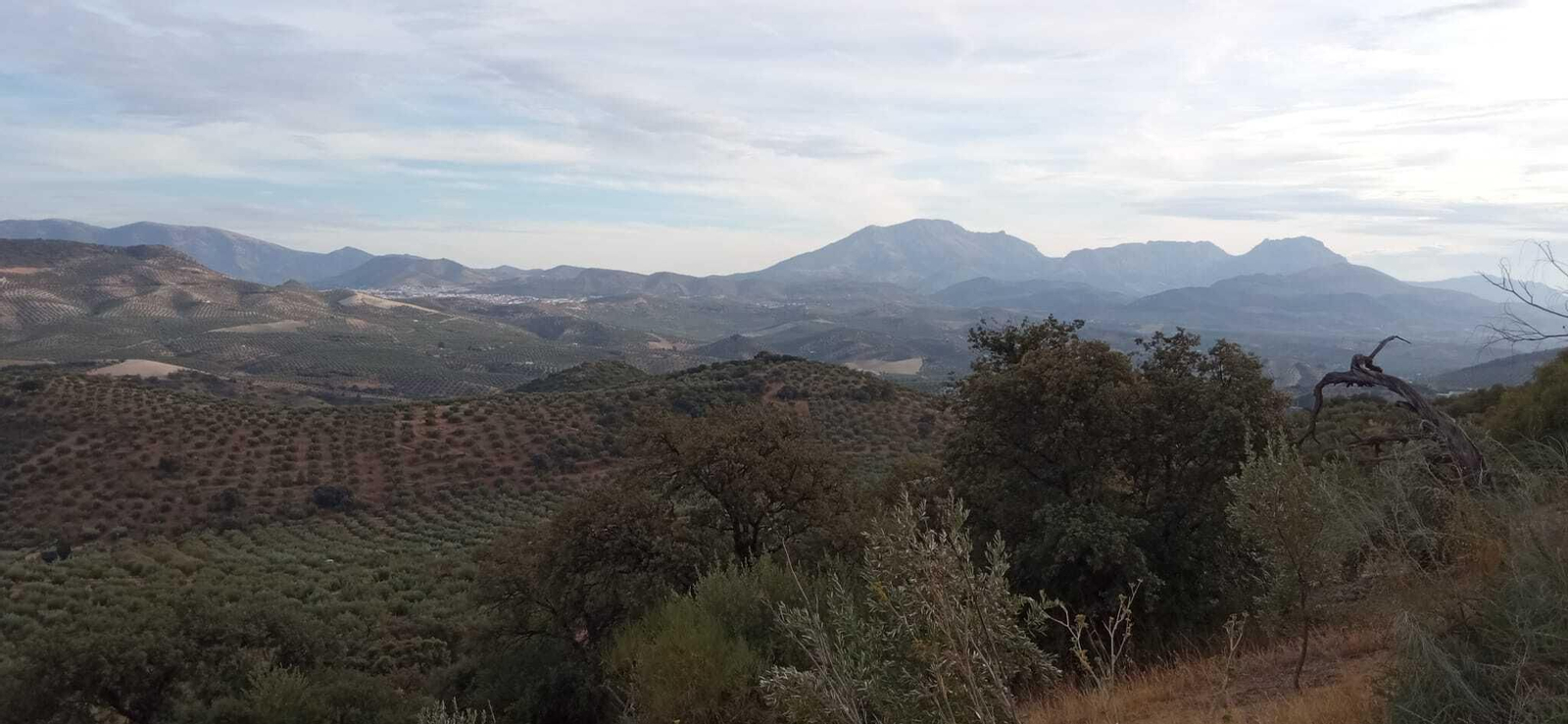 Las imágenes de la Ruta Zagrilla Baja - Esparragal - Zagrilla Baja