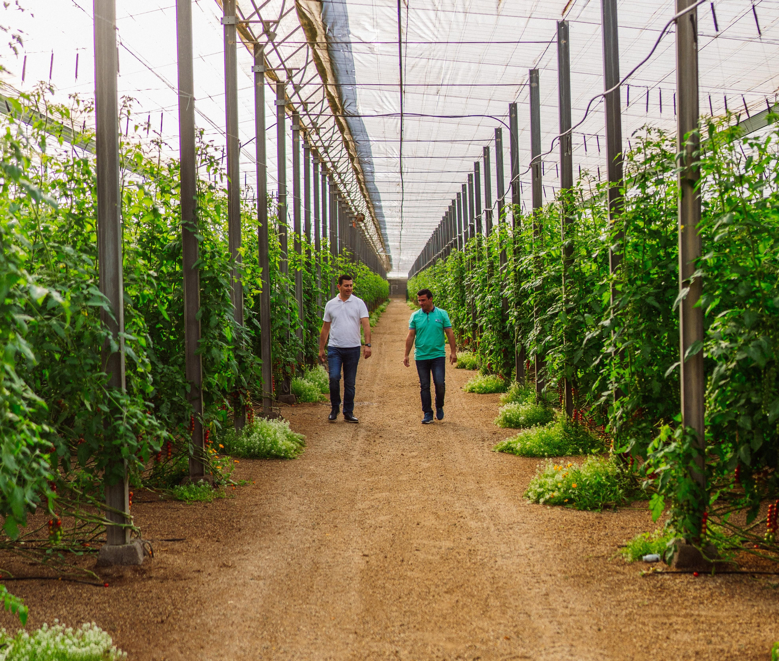 El municipio de Níjar se ha convertido en el vergel de la huerta de Europa