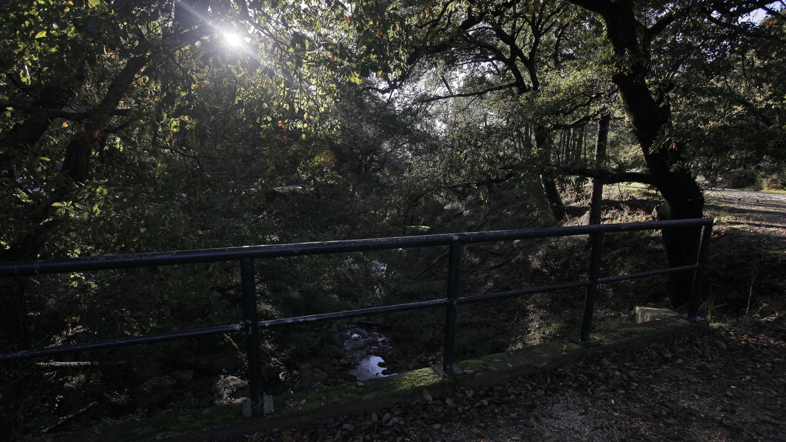 Sendero de la finca Murta en Los Barrios