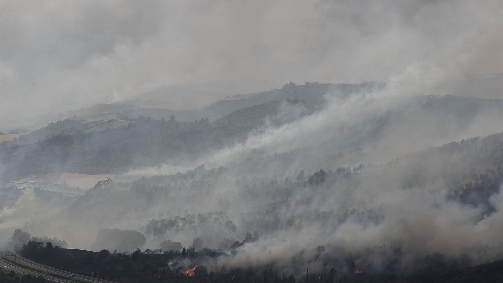 Vista general del incendio forestal este sábado en Legarda (Navarra)