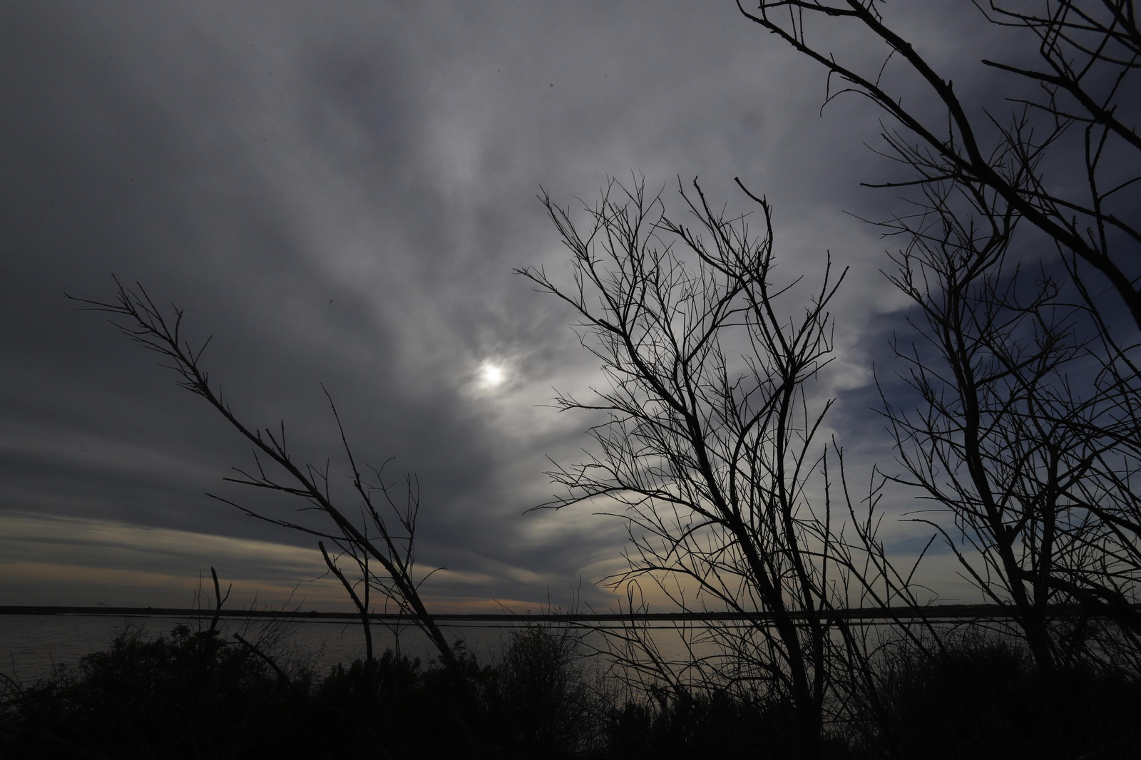 Paraje natural Marismas del Odiel, paraíso de Huelva entre salinas