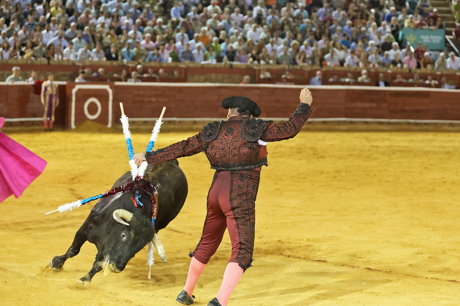 Toros La Merced 2024 Novillada con picadores(