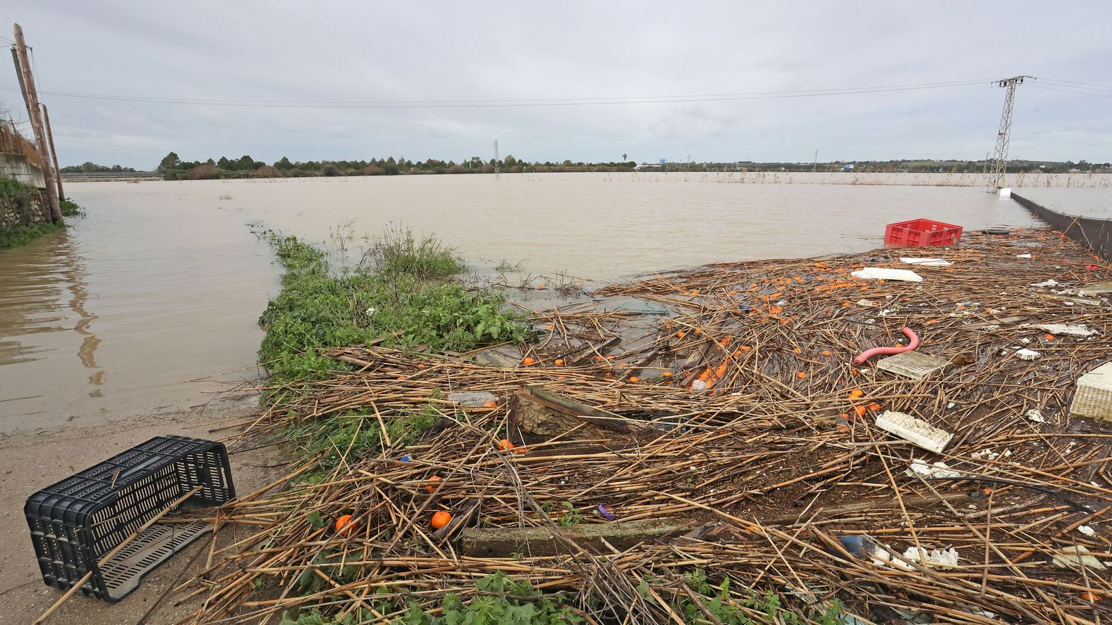El Guadalete comienza a bajar su nivel poco a poco por la zona rural de Jerez