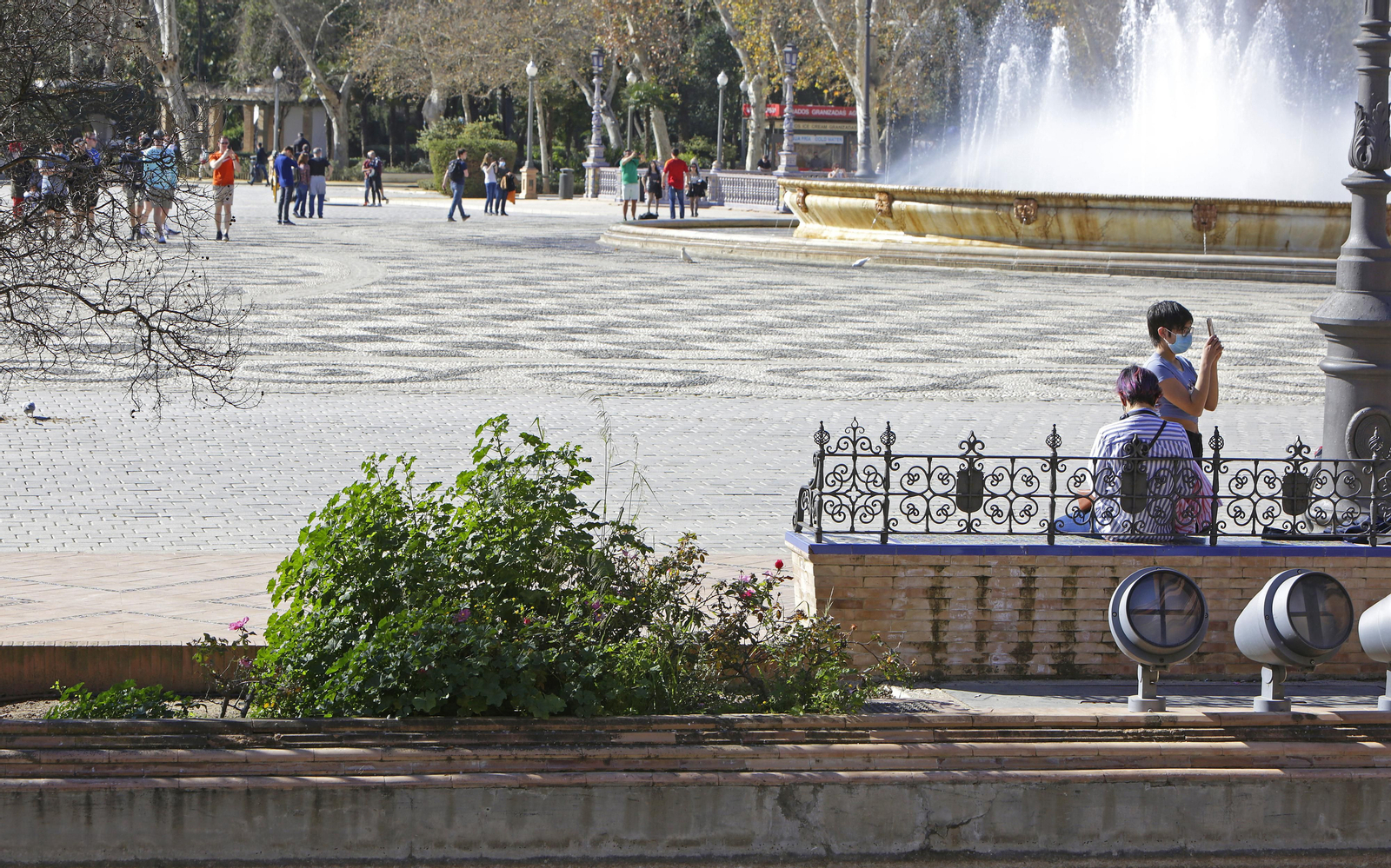 Mal estado de los arriates y plantas en la Plaza de España