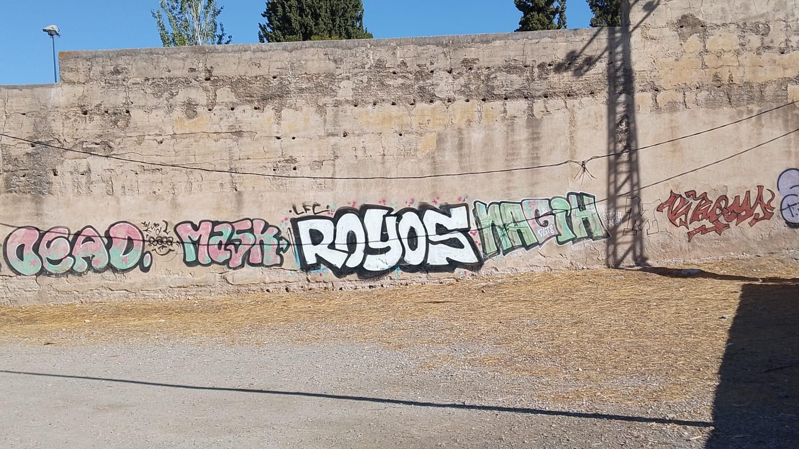 Nueva pintada en la muralla Alberzana.