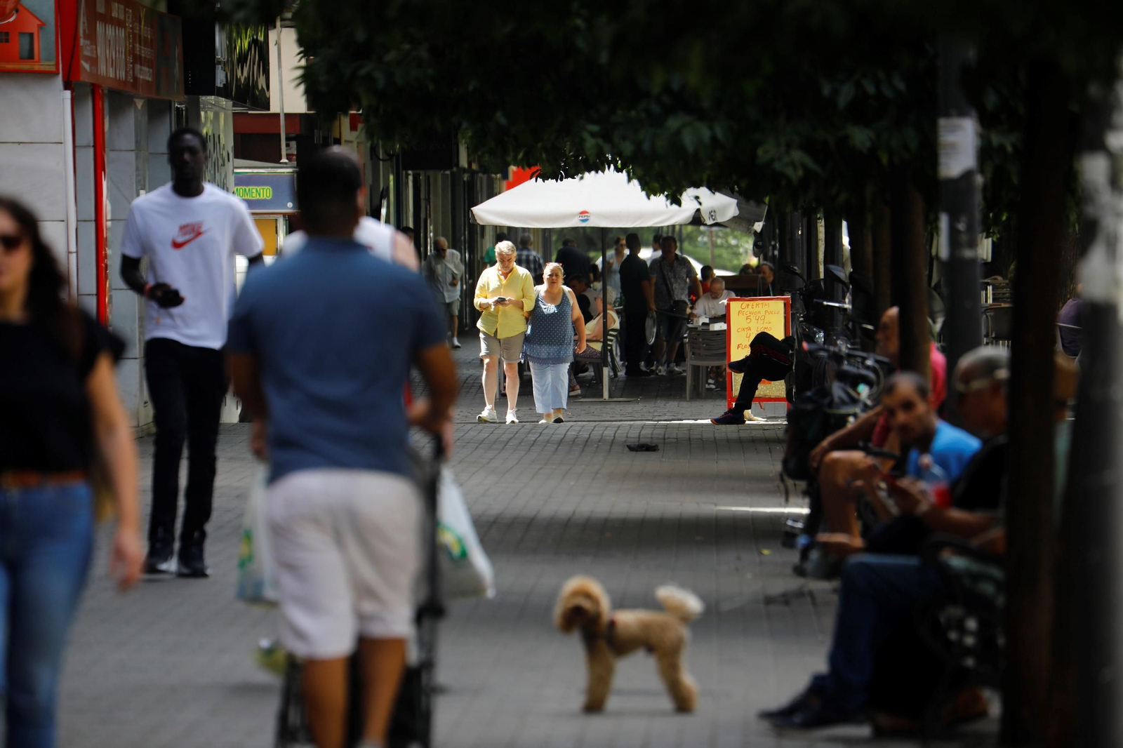 Ambiente en la avenida de Barcelona