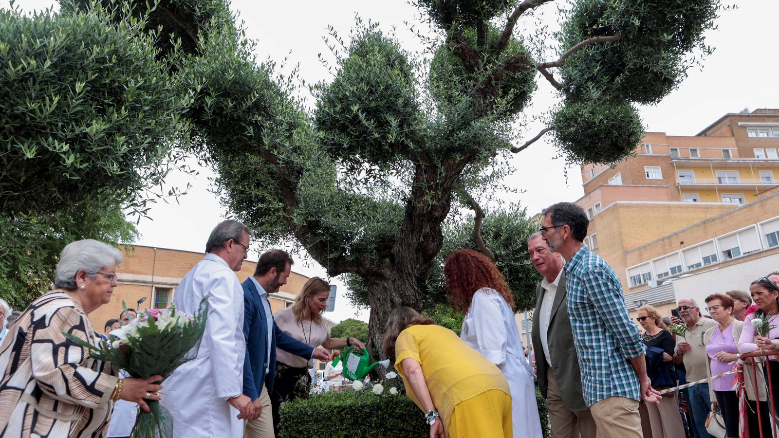 Sanitarios y familias de donantes de órganos y trasplantados riegan el árbol de los donantes en el Hospital Virgen del Rocío.