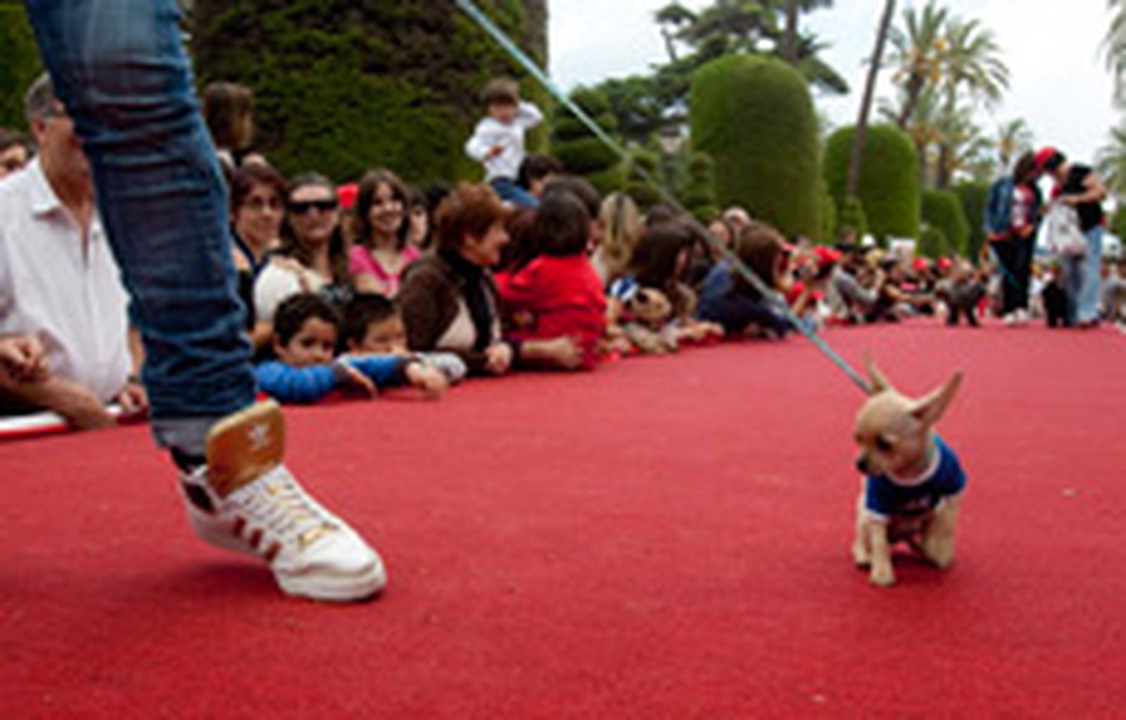 Ladridos de satisfacción en pleno parque