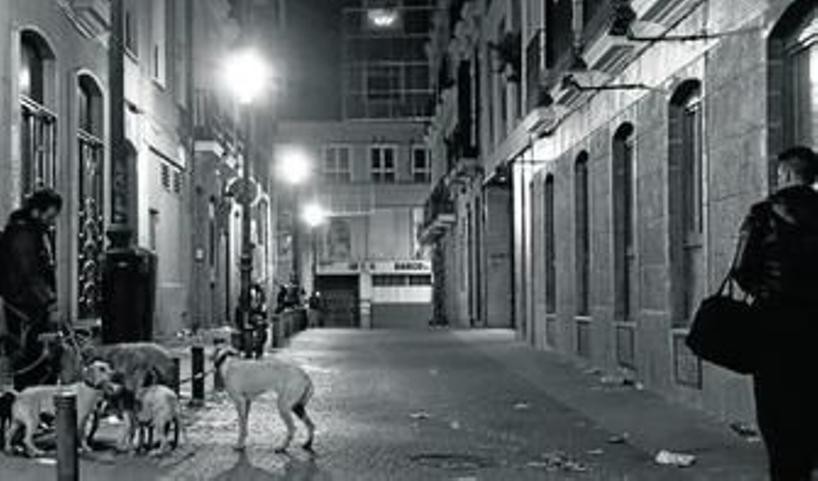 "Galgos" del libro fotográfico; "Historias de mi calle".