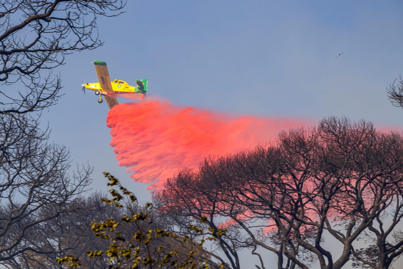 Una avioneta del Plan Infoca, en el incendio de Las Canteras en Puerto Real.