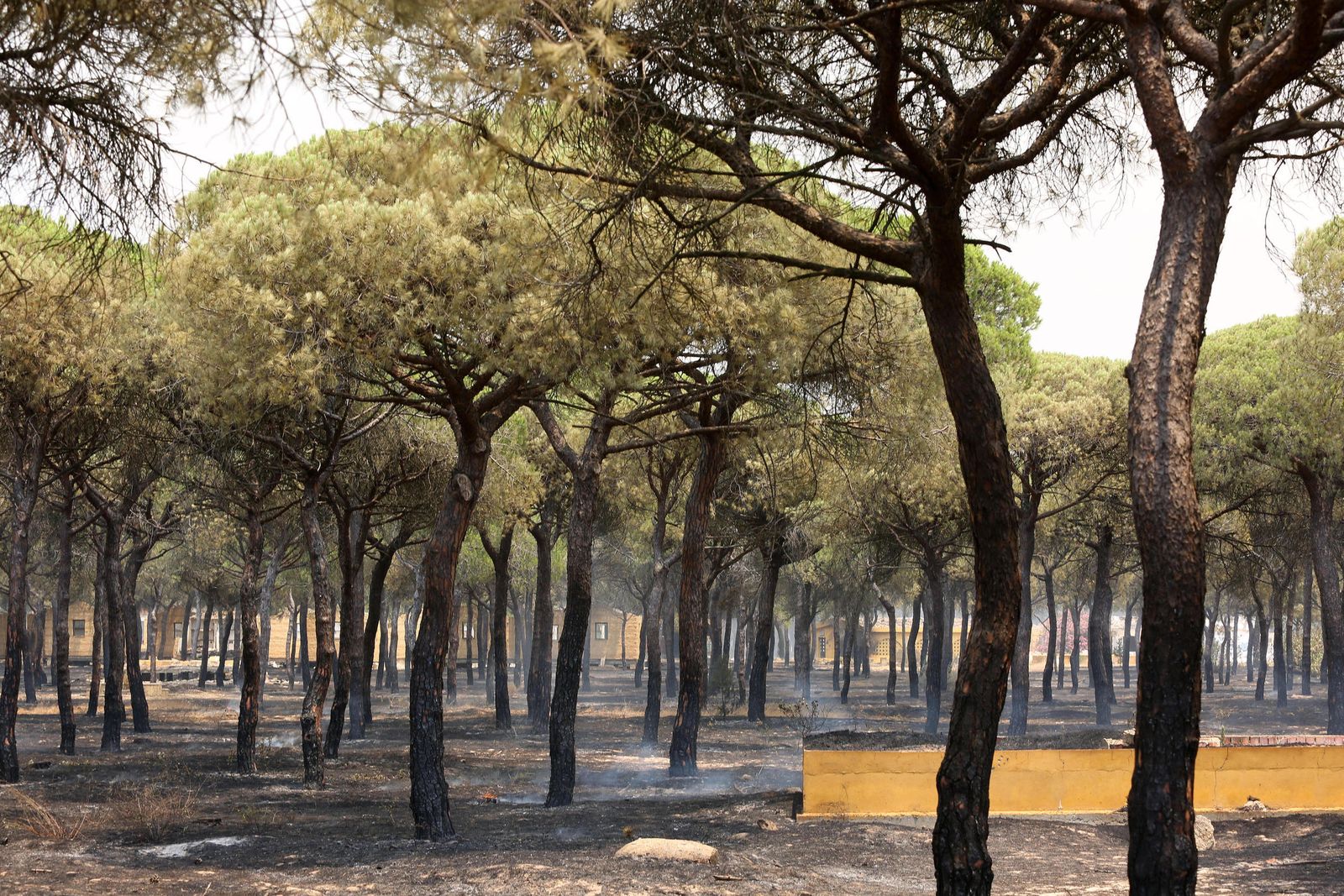 Las consecuencias del incendio en Mazagón