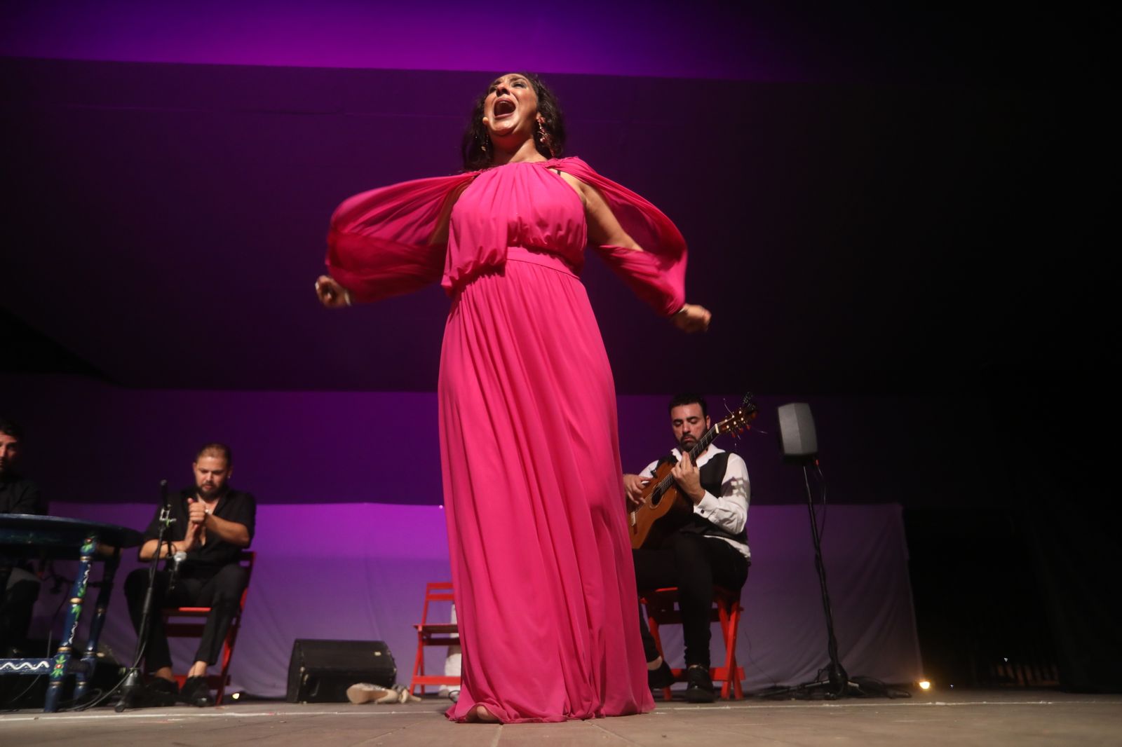 La noche flamenca en el Parque de San Fernando, en imágenes