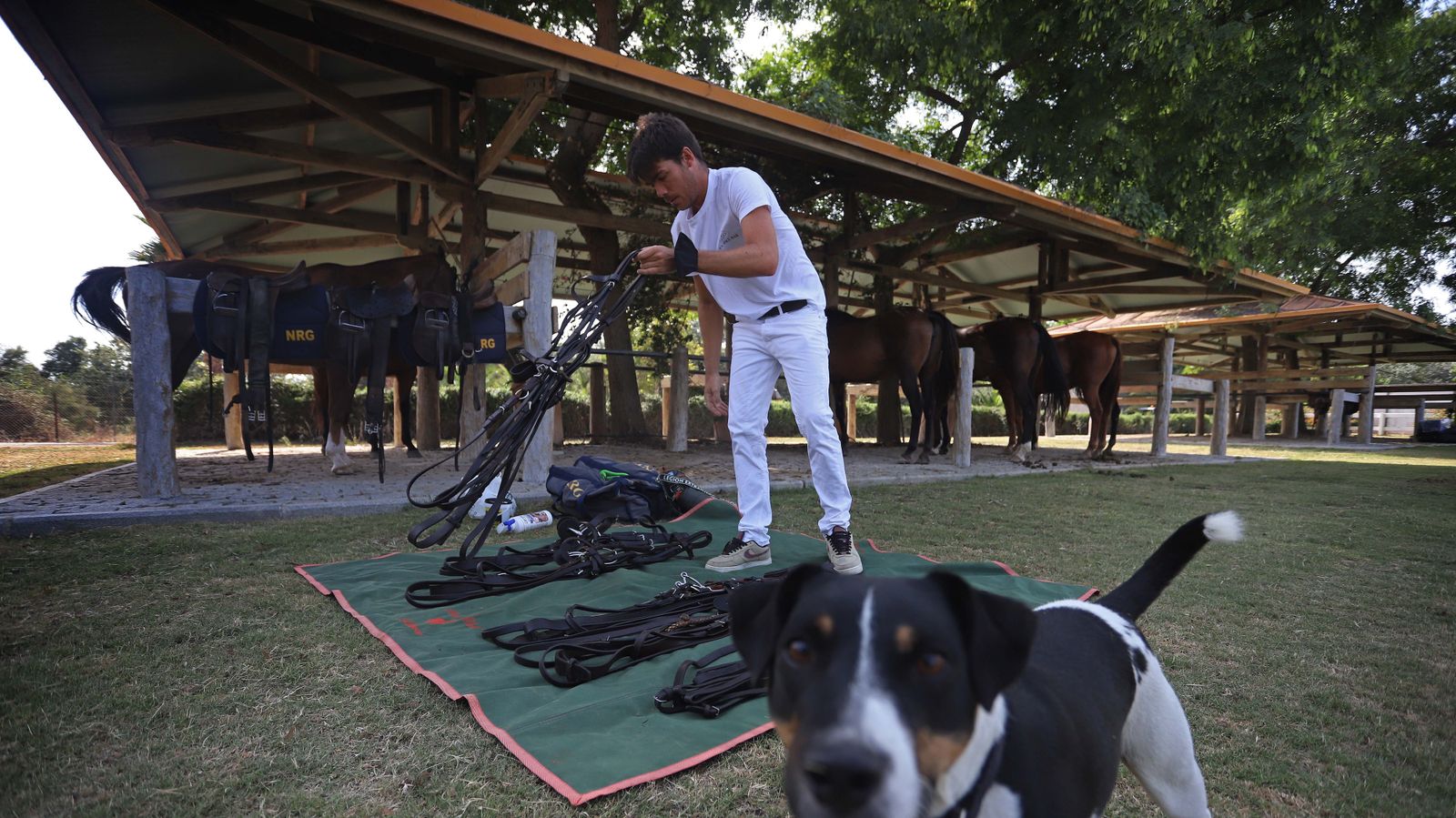 El polo desde dentro