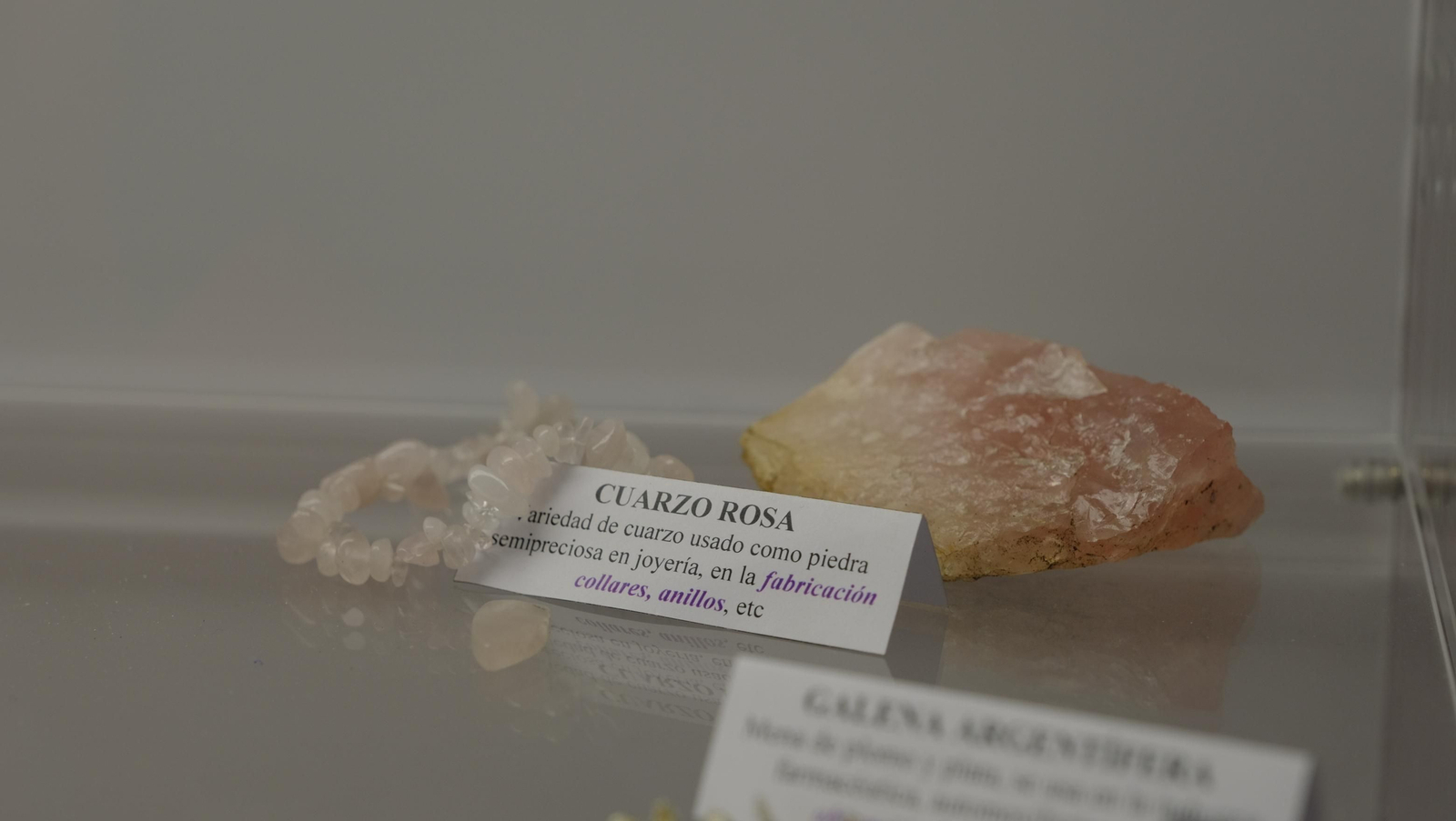 Descubre en estas fotos las maravillas que esconde el Pabellón de Historia Natural de la UAL