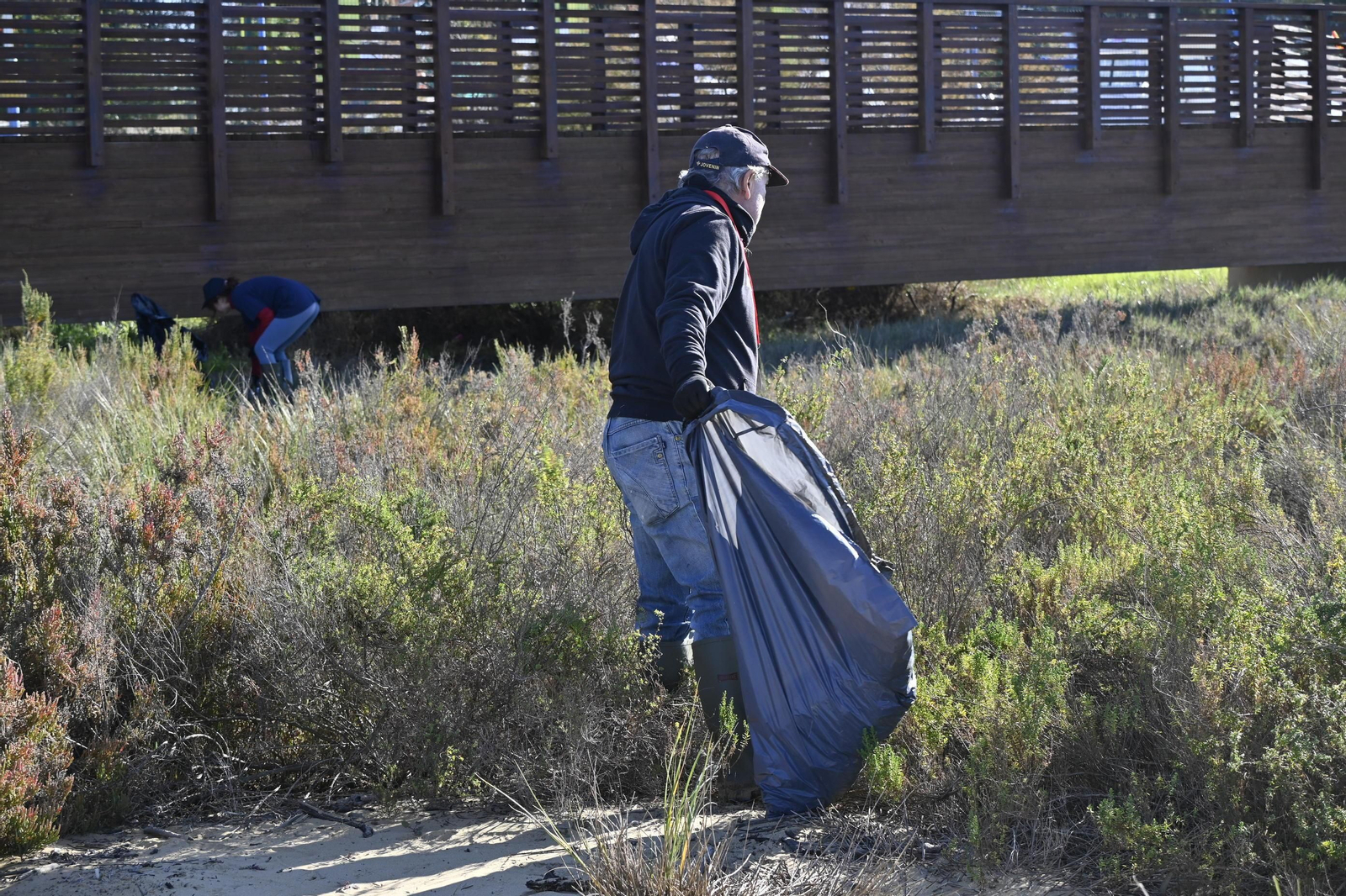 Plantación de la especie autóctona Espartina Marítima en imágenes
