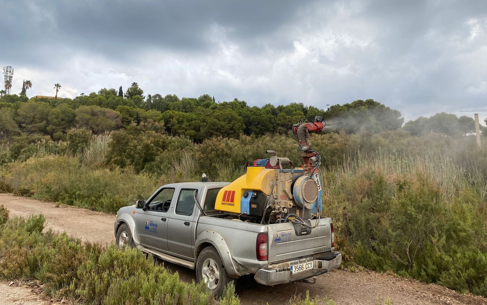 Fumigación en las zonas verdes de Vera.