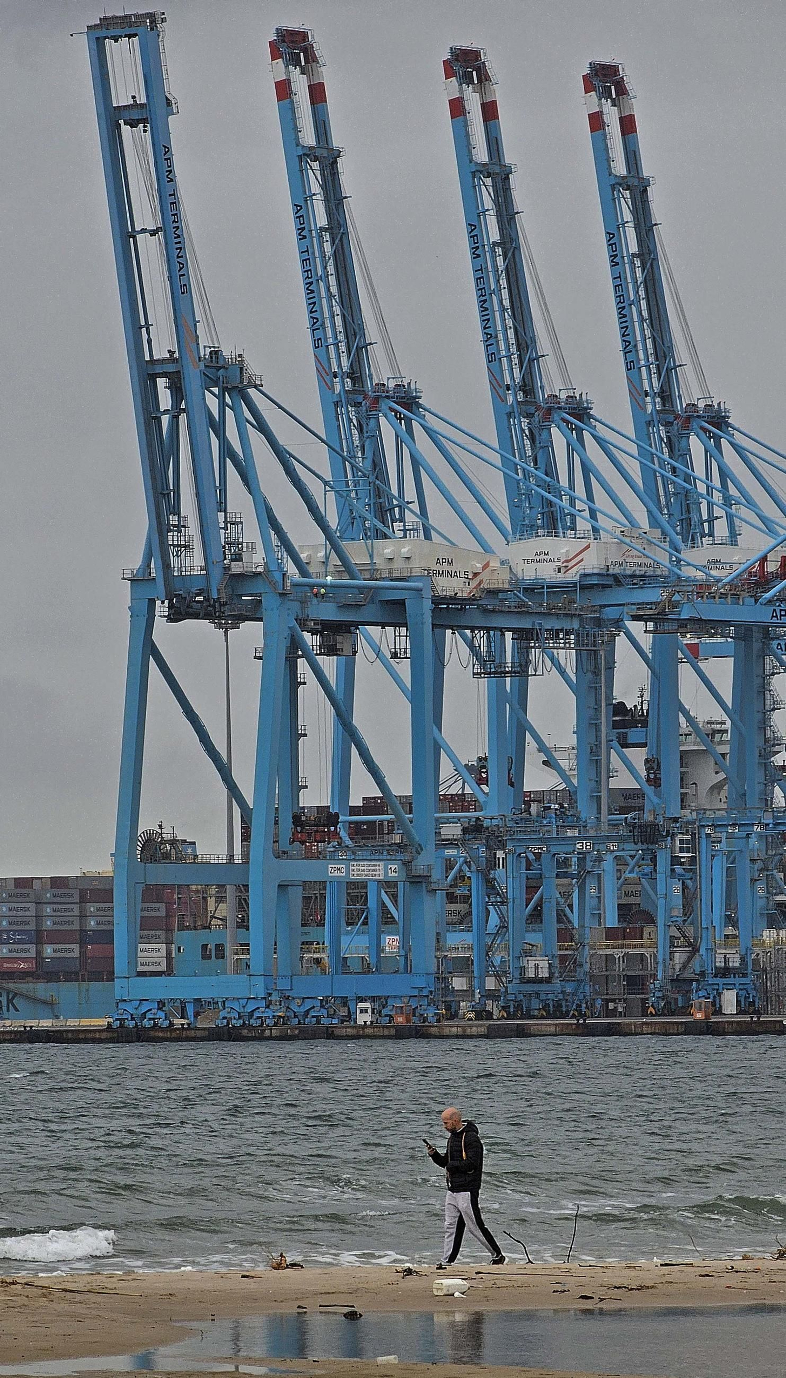 Fotos de las medusas en las playas de Algeciras