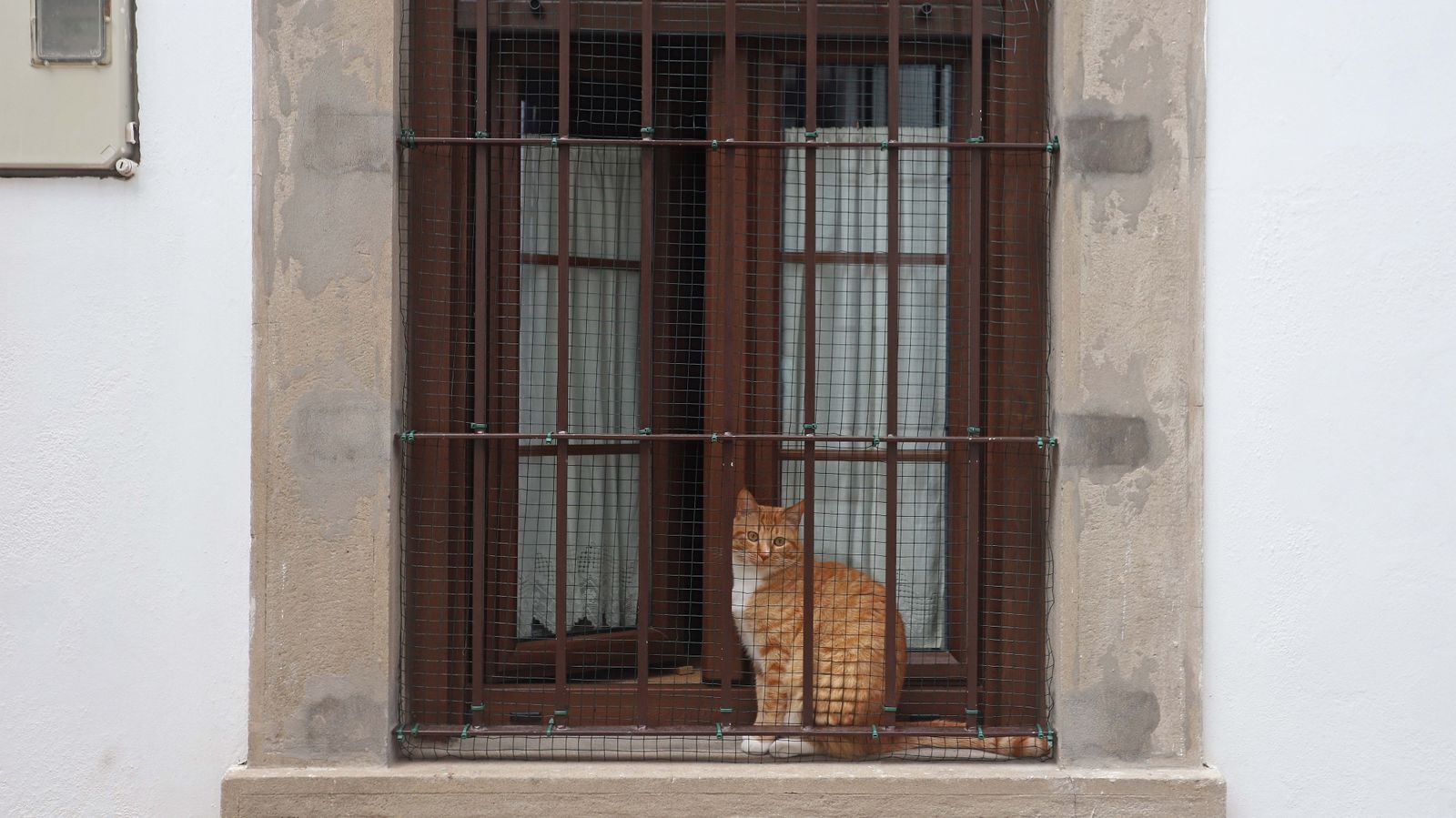 Fotos del confinamiento por el estado de alarma en San Roque