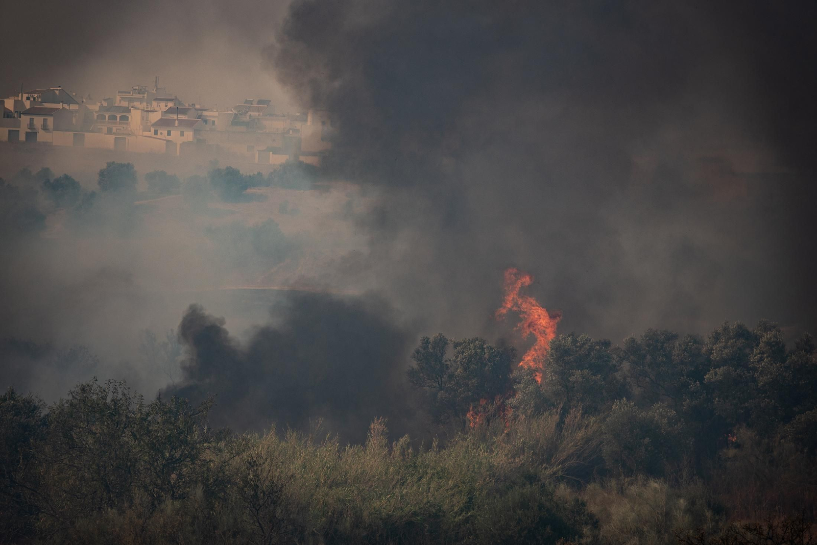 El incendio de Lucena del Puerto en imágenes