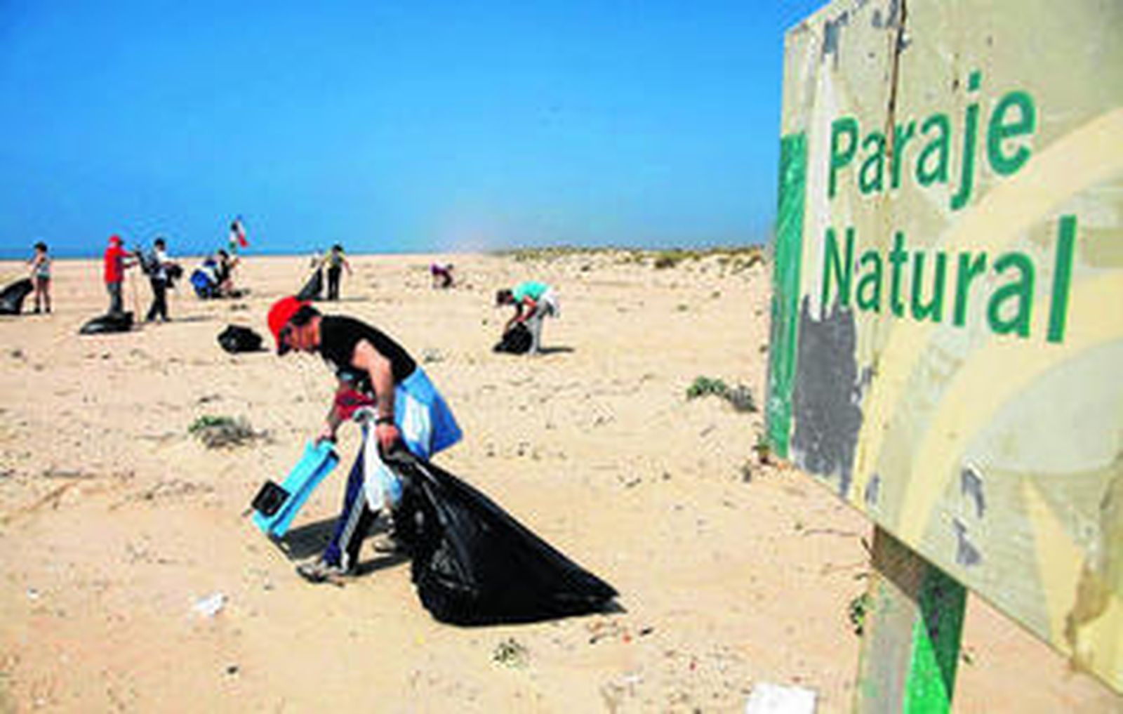 Grandes y pequeños participaron en la jornada de limpieza de la playa.