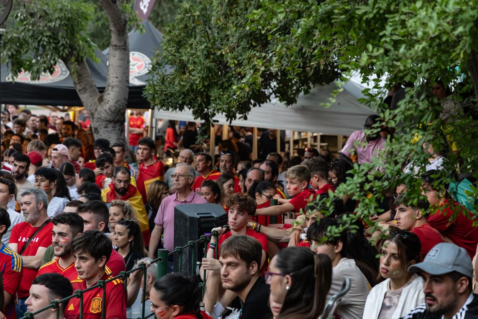 La euforia jiennense por la victoria de España, imágenes