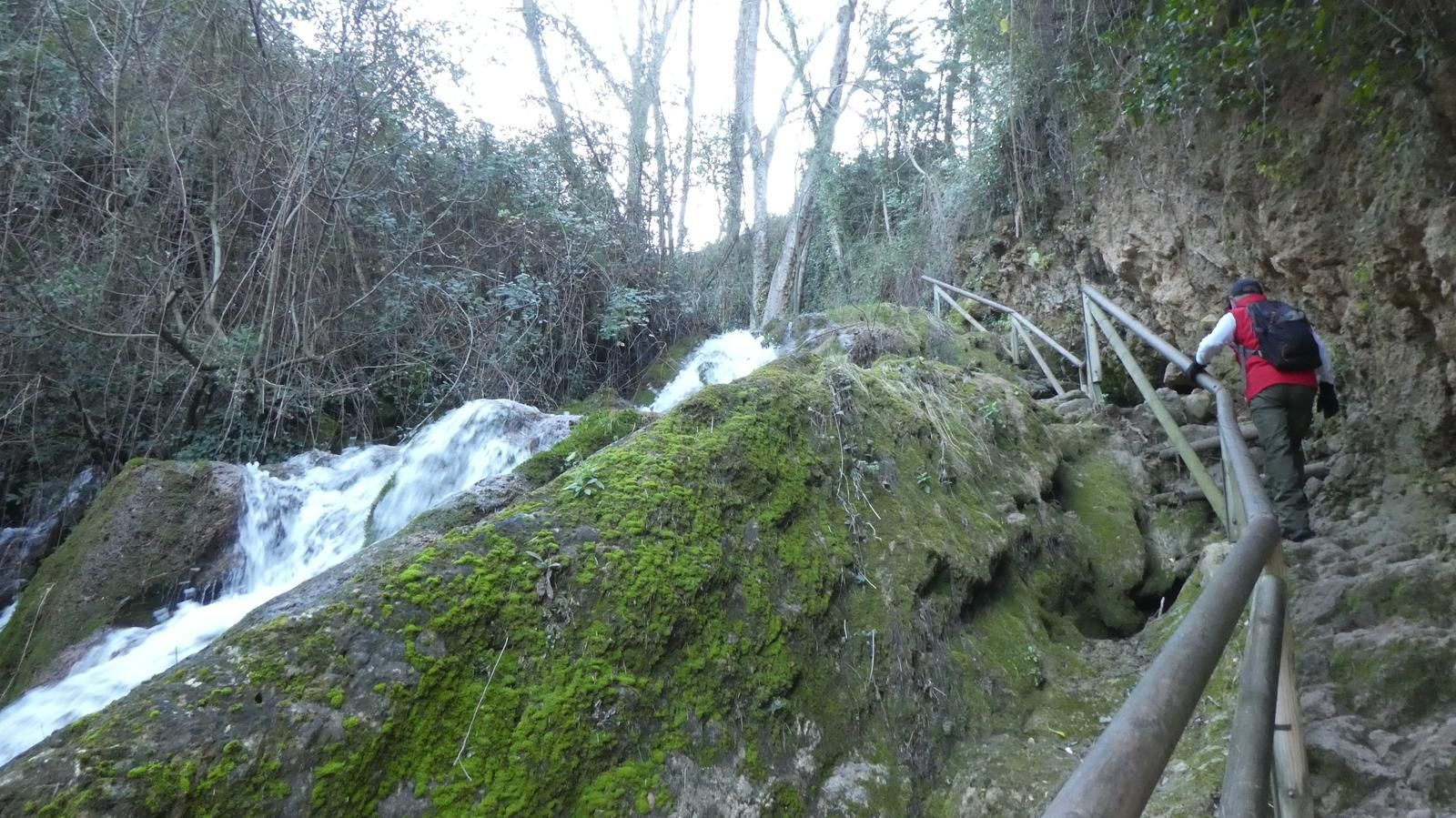 Sendero circular Río Cerezuelo (SL-A 266)