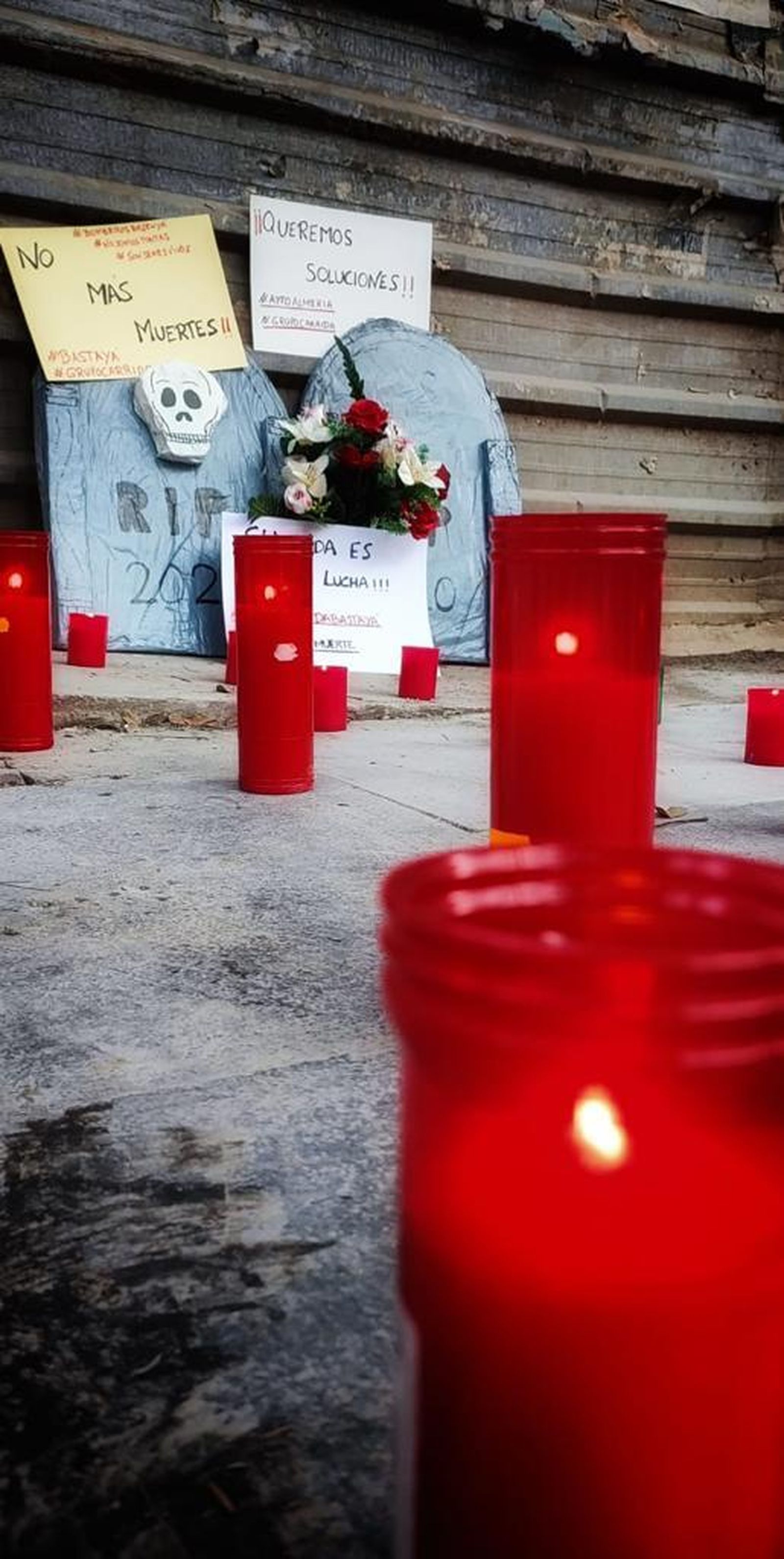 Vigilia por los gatos fallecidos pidiendo medidas