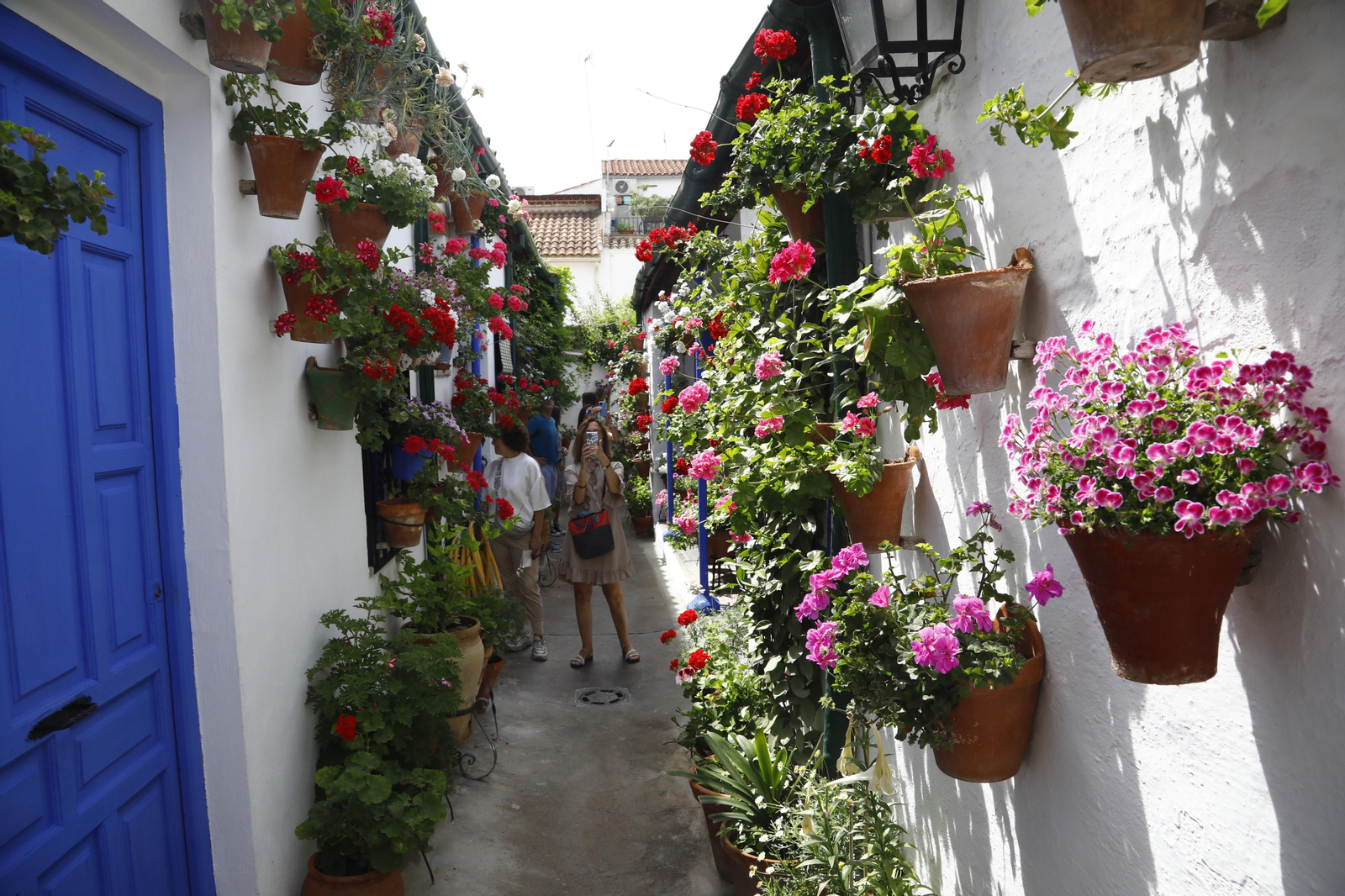 El primer día de Patios en Córdoba, en imágenes