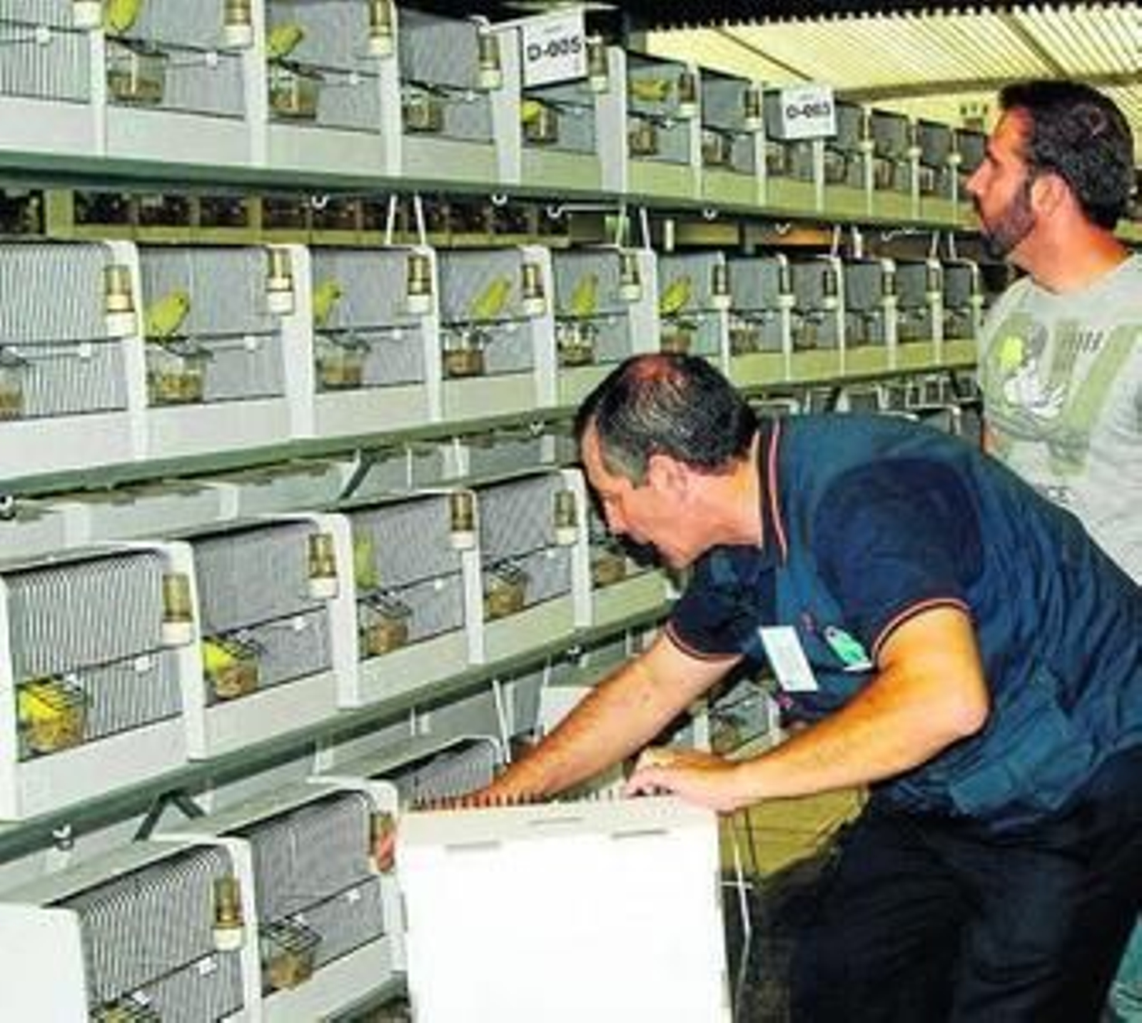 Criadores de aves en el congreso de Torremolinos.