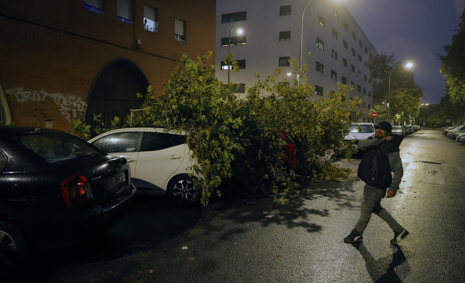 Los efectos de la borrasca 'Bernard' en Sevilla, todas las fotos