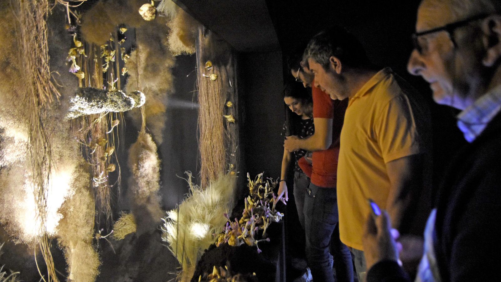 Creación de la última edición de Flora en la Diputación de Córdoba.