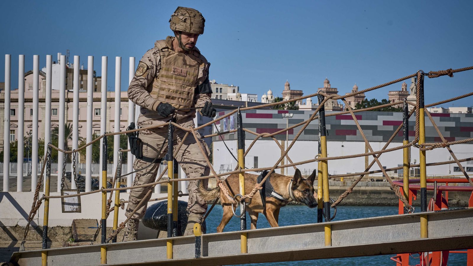 Maniobras Canex con unidades caninas de las Fuerzas Armadas, Policía y Guardia Civil