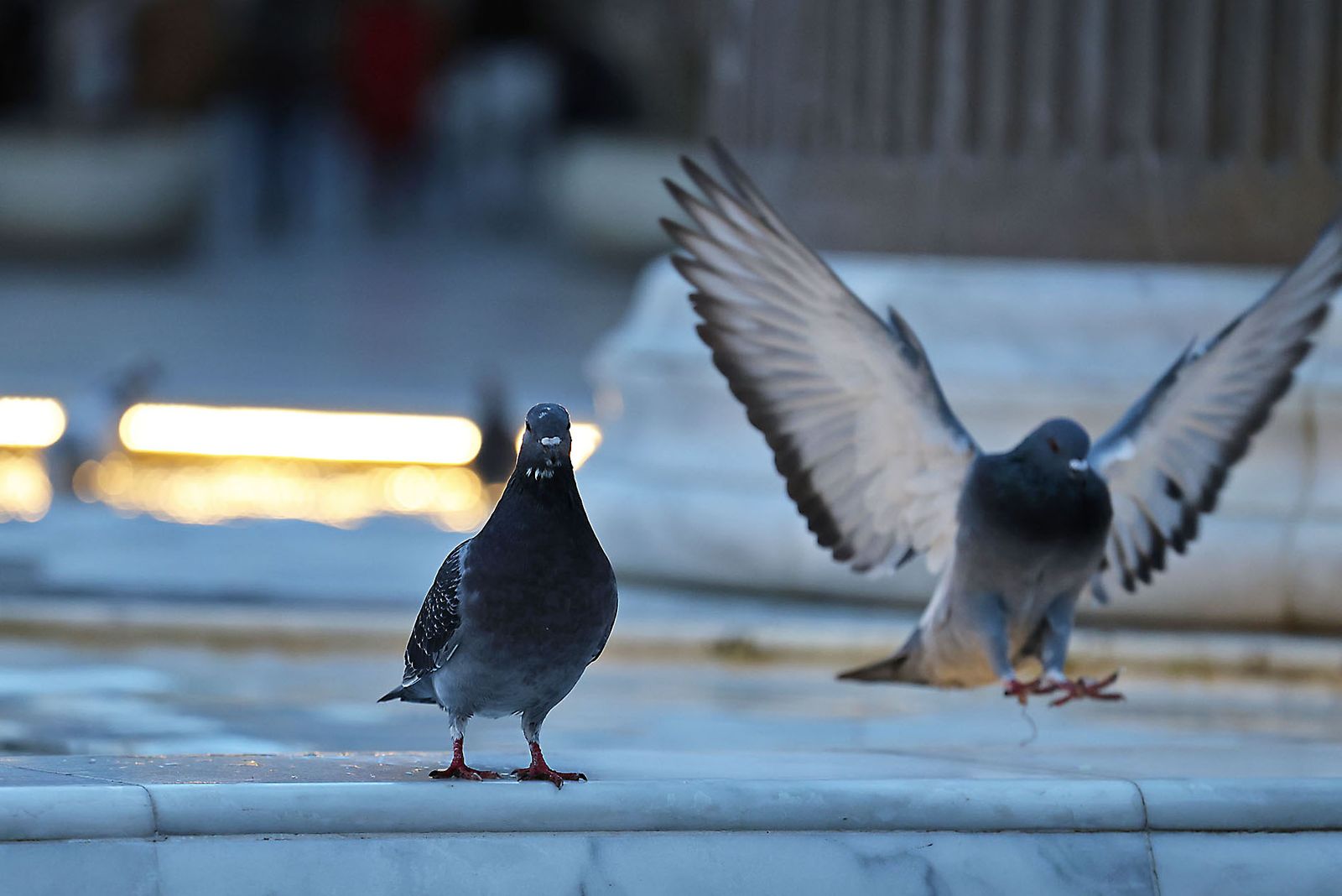 Las fotografías del lunes tarde en Huelva