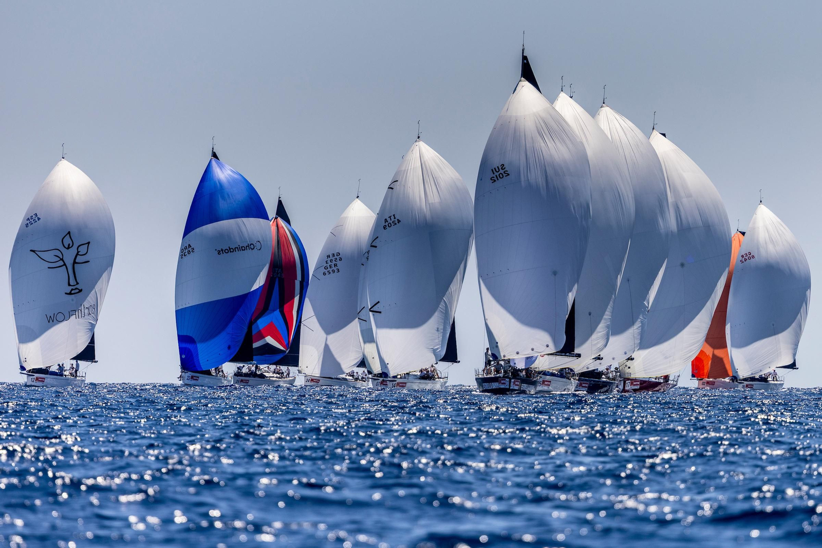 ORC A VELA RACING (42).jpg
