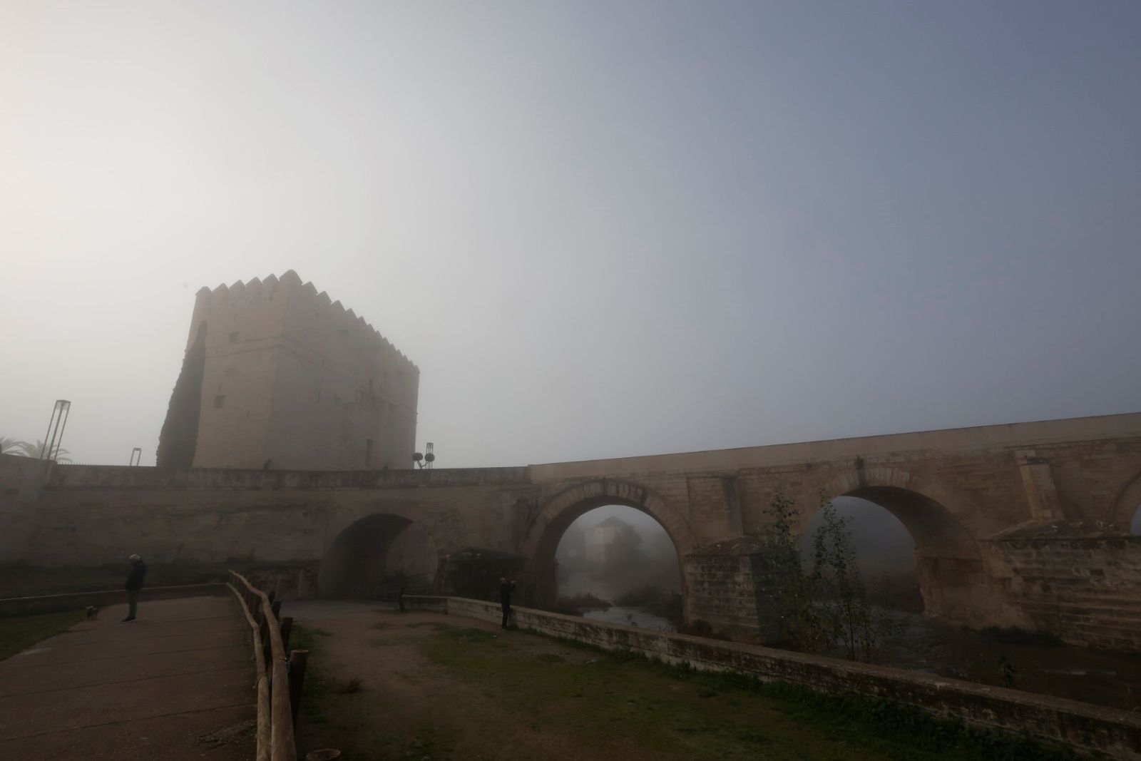 Córdoba comienza la semana cubierta de niebla, en imágenes