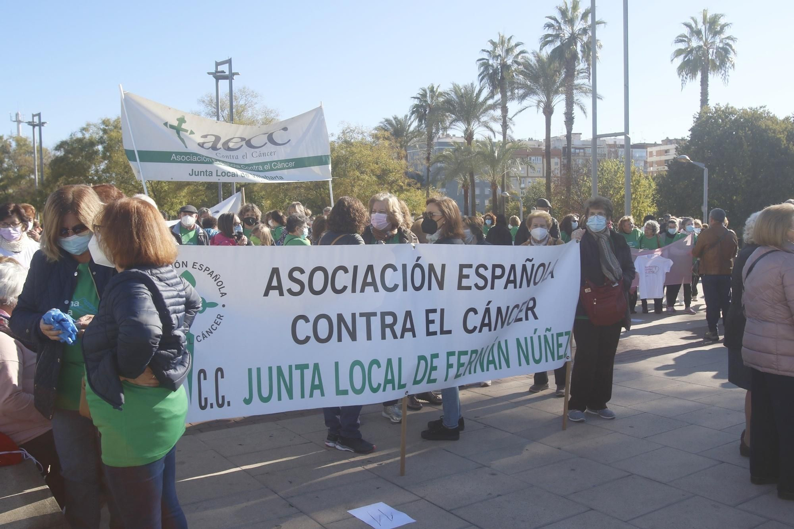 La marcha por la vida de la AECC en Córdoba, en fotografías
