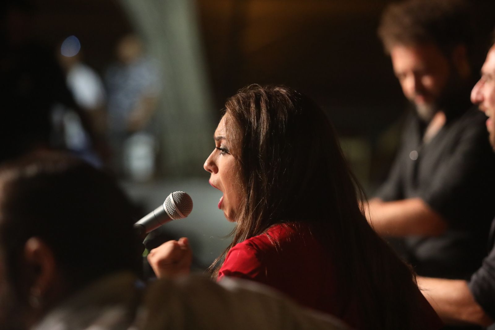 La noche flamenca en el Parque de San Fernando, en imágenes