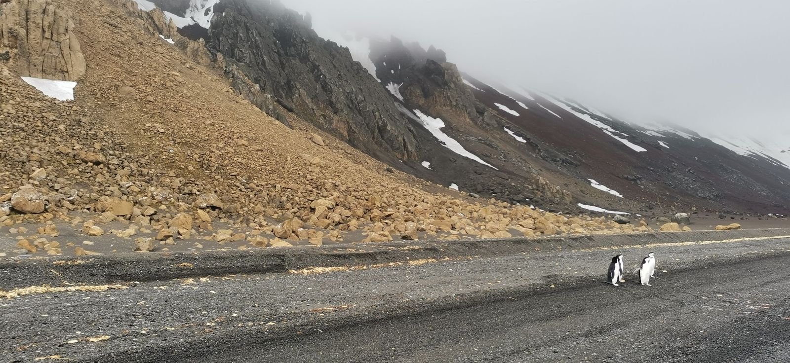 Investigadores de la Universidad de Jaén (UJA) en la Antártida.