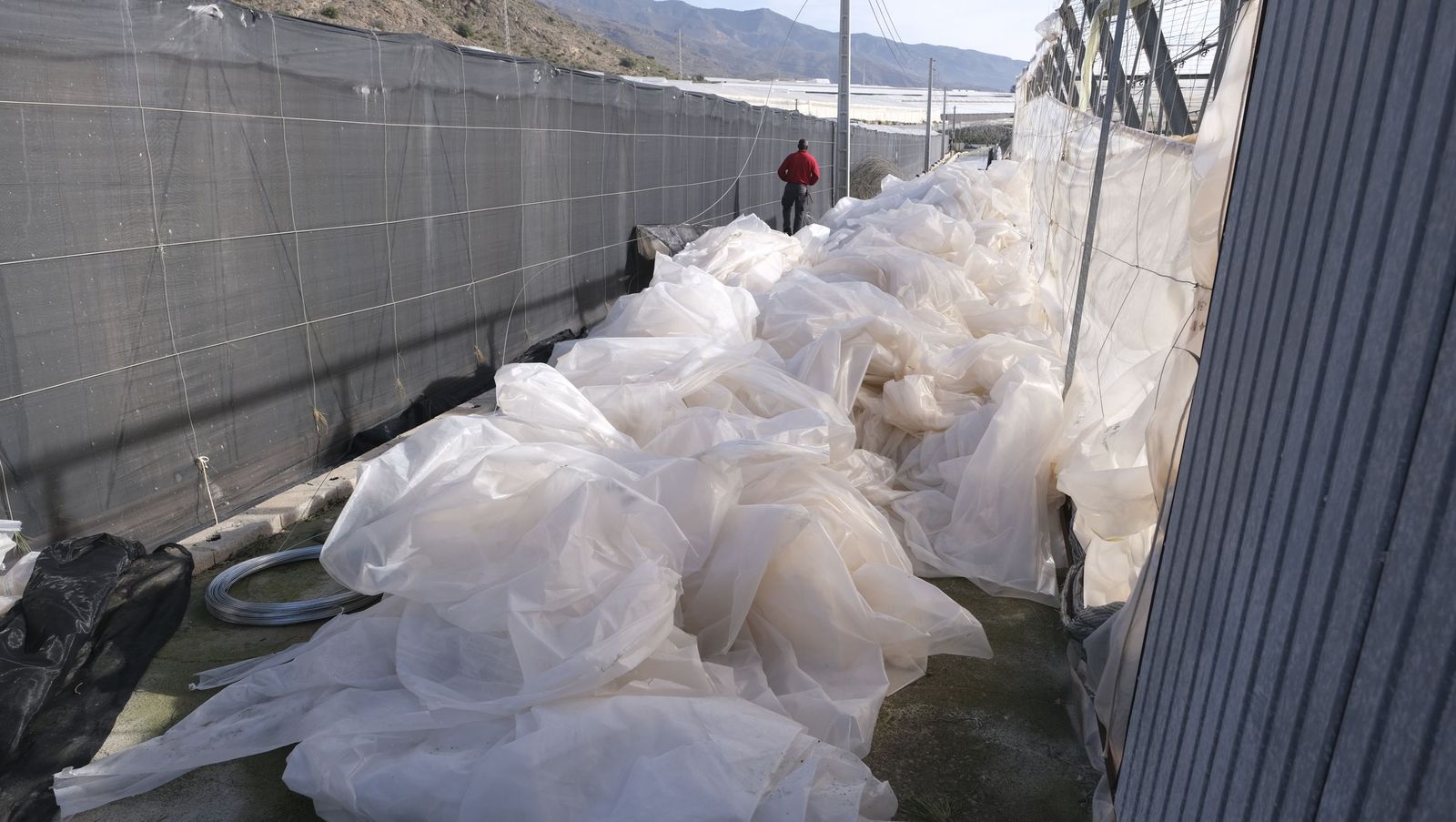 Los efectos del temporal de viento en los invernaderos, en imágenes
