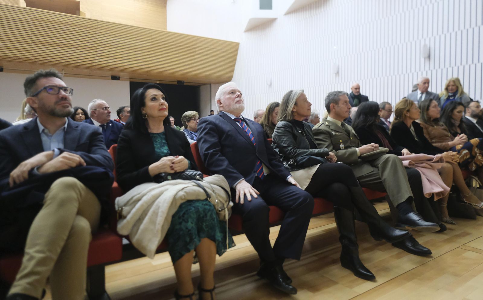 La entrega de medallas extraordinarias de las Peñas de Córdoba, en fotografías