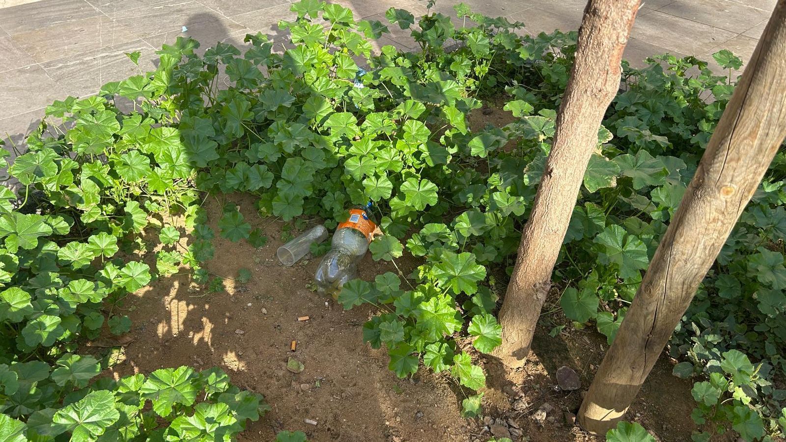 Estado de la Plaza de las Mercedarias