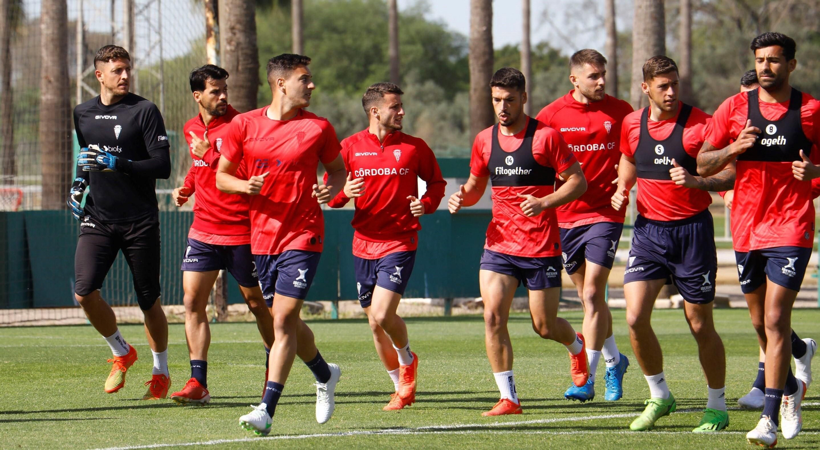 Los jugadores del Córdoba CF inician una sesión de trabajo en la Ciudad Deportiva.