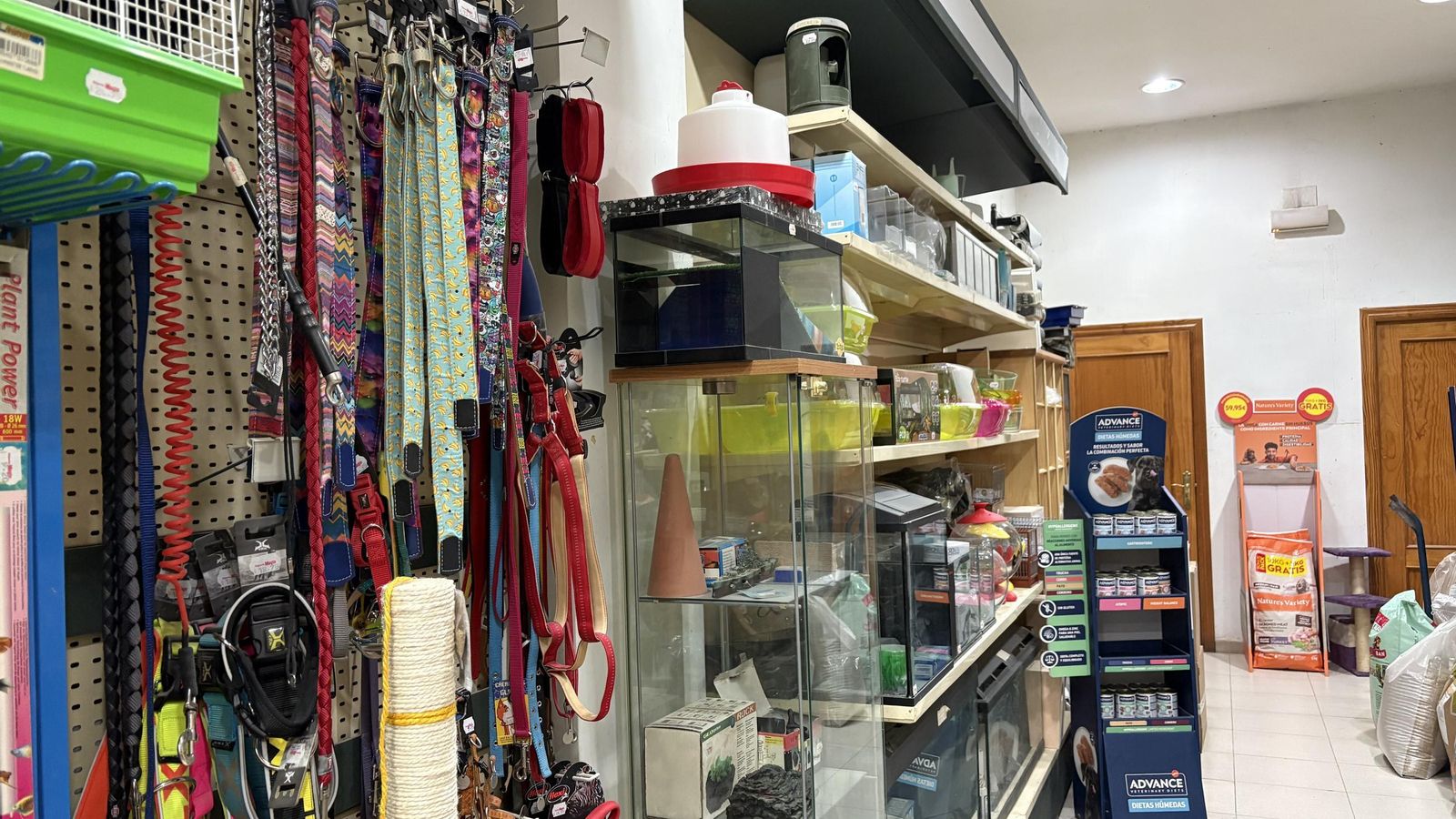 Accesorios para perros en Pajarería Mayte.