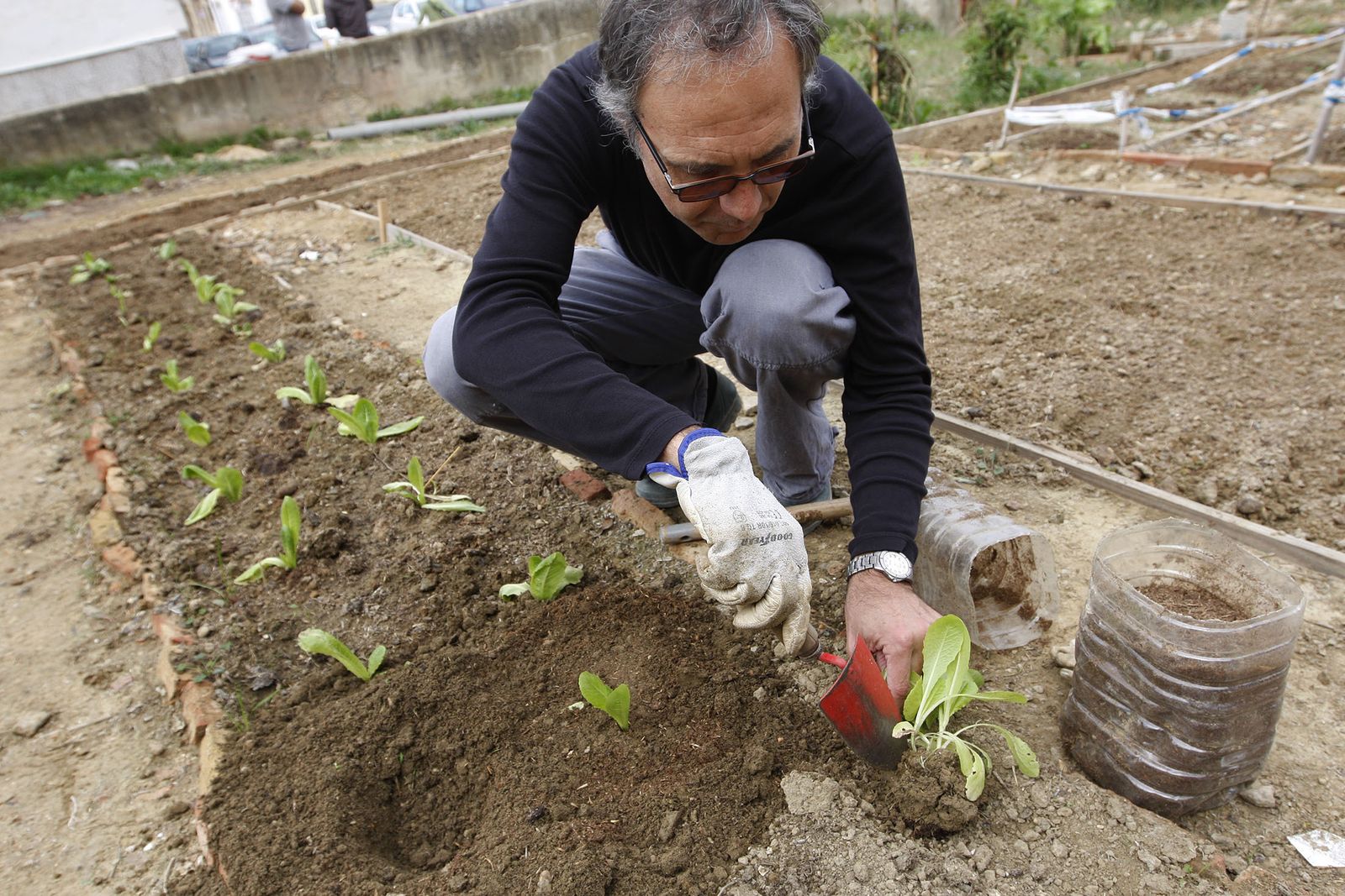 Qué comemos, una clave para frenar el hambre en el mundo
