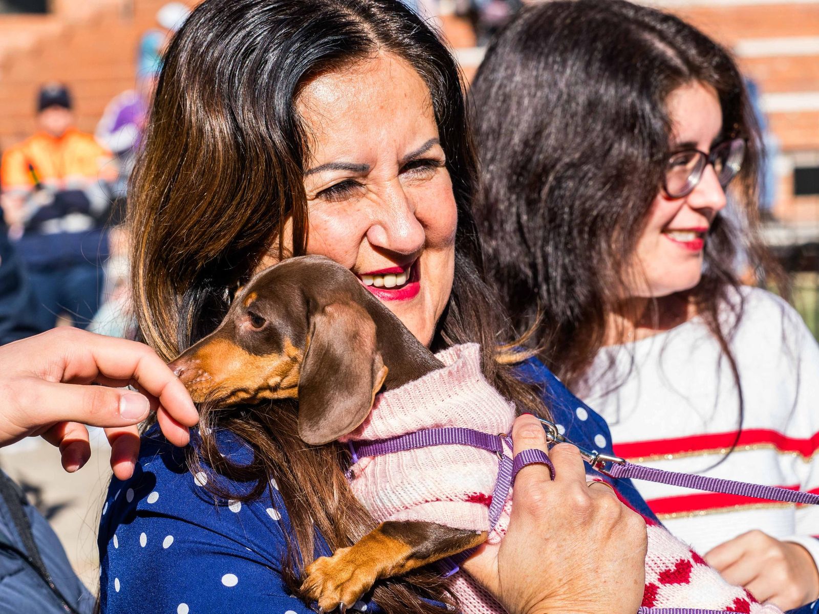 Las imágenes de San Antón 2025 en San Fernando