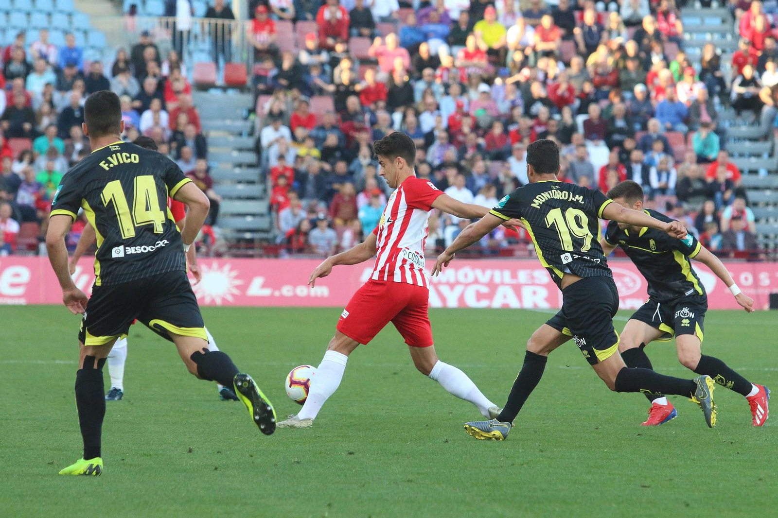Fotogalería del Almería-Granada